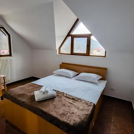 Guest house Pensiunea Tesoro