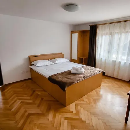 Guest house Pensiunea Tesoro *