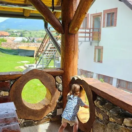 Pensiunea Tesoro Guest house *